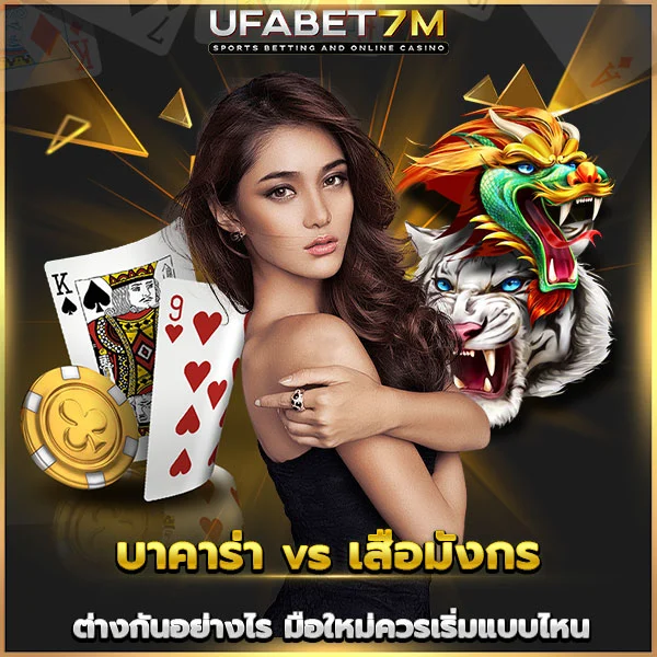 บาคาร่า vs เสือมังกร